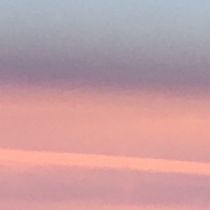 Meet your Posher, Abigail